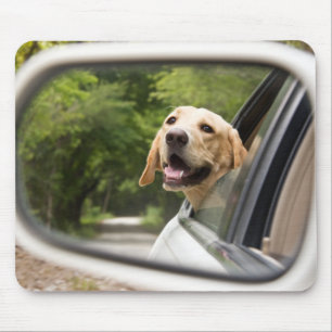 Golden Labrador in Rearview Mirror Mousepad