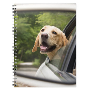 Golden Labrador in Rearview Mirror Notizblock