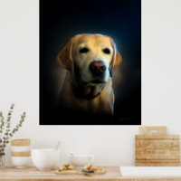 Golden Labrador