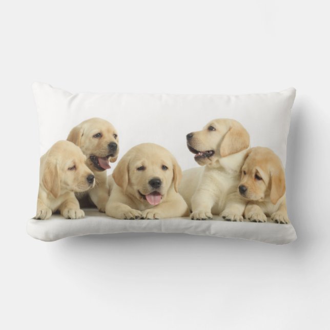 Golden Labrador Puppy Lendenkissen (Vorderseite)