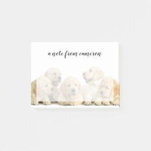 Golden Labrador Puppy Post-it Klebezettel