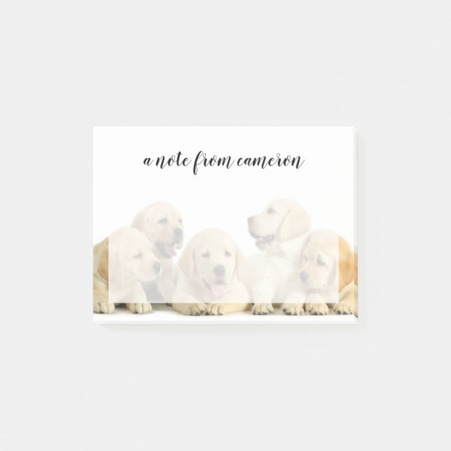Golden Labrador Puppy Post-it Klebezettel (Vorderseite)