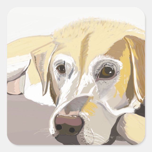 Golden Labrador Quadratischer Aufkleber (Vorderseite)