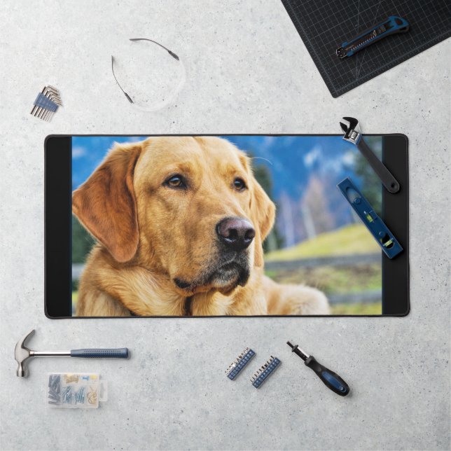 Golden Labrador Retriever (Poste de travail)