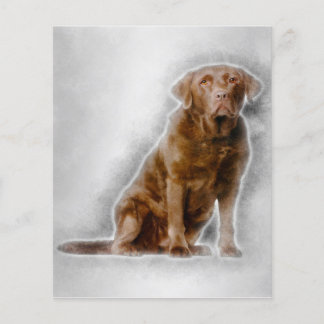 Golden Labrador Retriever 8 Jahre alt Flyer