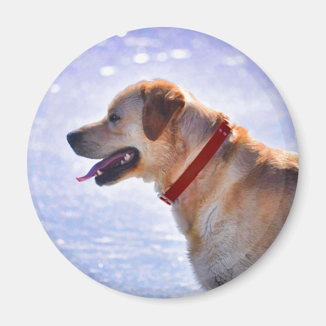 Golden Labrador Retriever Dog-Lover Geschenk Magnet (Vorne)