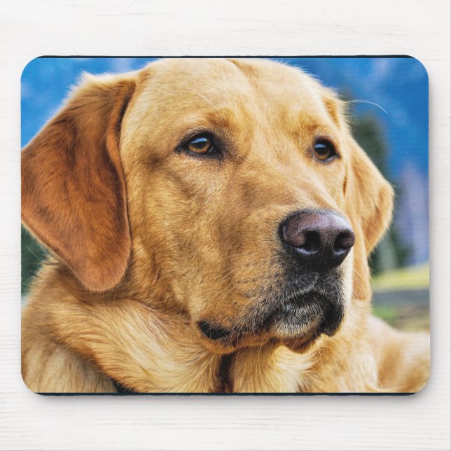 Golden Labrador Retriever Mousepad (Vorne)