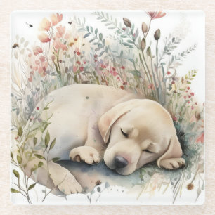Golden Labrador Retriever und Blume Glasuntersetzer