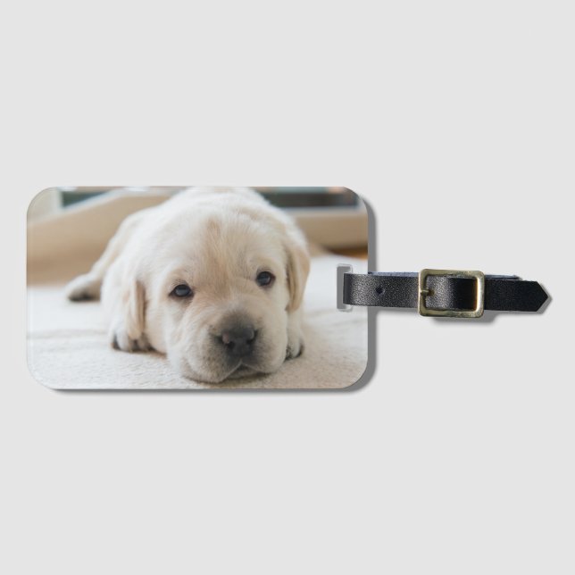 Golden Labrador Welpe Gepäckanhänger (Vorderseite (Horizontal))