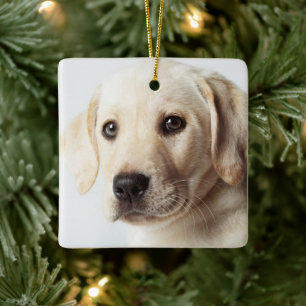Golden Labrador Welpe Keramikornament