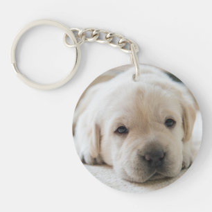 Golden Labrador Welpe Schlüsselanhänger