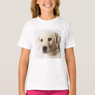 Golden Labrador Welpe T-Shirt