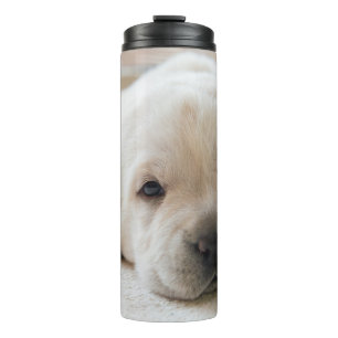 Golden Labrador Welpe Thermosbecher
