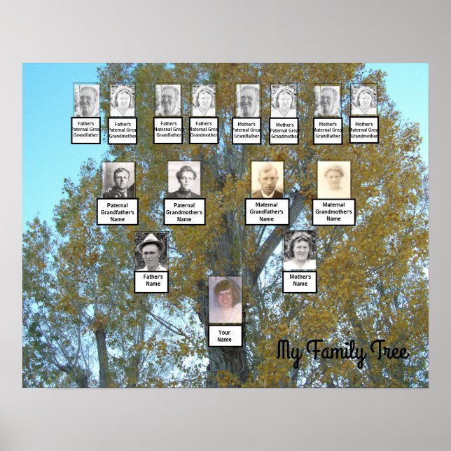 Golden Leaf Foto Family Tree 4 Generation Poster (Vorne)