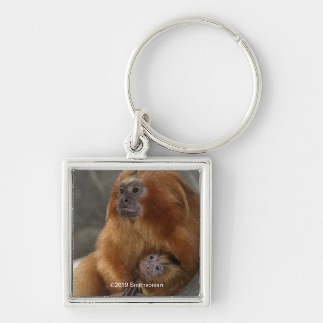 Golden Lion Tamarin mit Baby Schlüsselanhänger (Vorne)