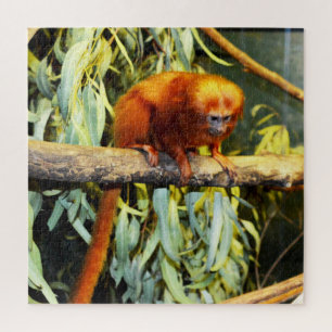 Golden Lion Tamarin Observant, Jigsaw Puzzle