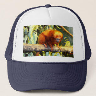 Golden Lion Tamarin Observateur, Casquette de cami