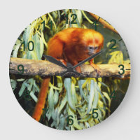 Golden Lion Tamarin Observation, Wall Clock