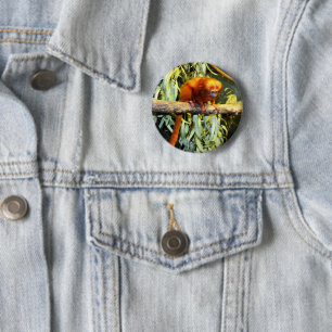 Golden Lion Tamarin Whatup, Round Abzeichen Button