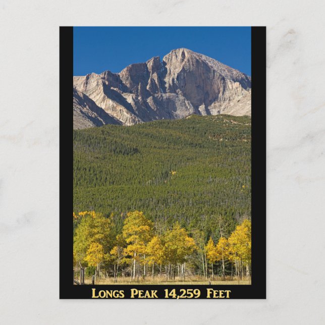 Golden Longs Peak 14259 Poster Postkarte (Vorderseite)