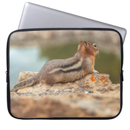 Golden Mantle Eichhörnchen Laptopschutzhülle