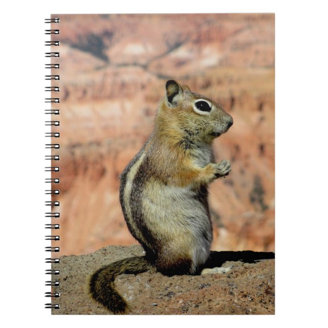 Golden Mantled Ground Squirrel Notizblock (Vorderseite)