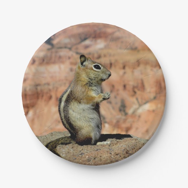 Golden Mantled Ground Squirrel Pappteller (Vorderseite)