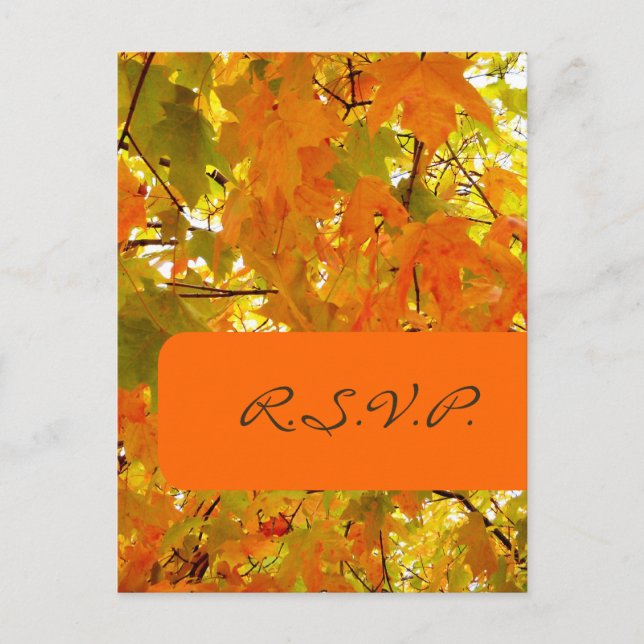 Golden Maple, cartes postales RSVP, pour invitatio (Devant)