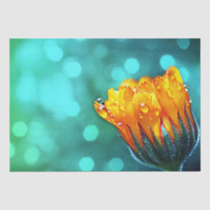 Golden Marigold auf Aquamarin Bokeh Seidenpapier