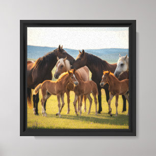 Golden Meadow Herde – Stuten & Fohlen Wandkunst Leinwanddruck