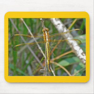 Golden Meadowhawk (Sympetrum) Dragonfly Items Mousepad