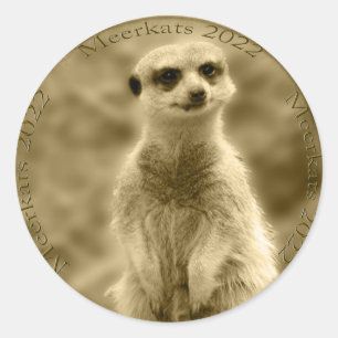 Golden Meerkat 2022 Coin, Round Stickers