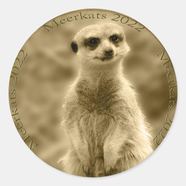 Golden Meerkat 2022 Pièce, Stickers ronds (Devant)