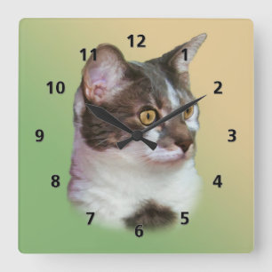 Golden-mit Augen Katze Quadratische Wanduhr
