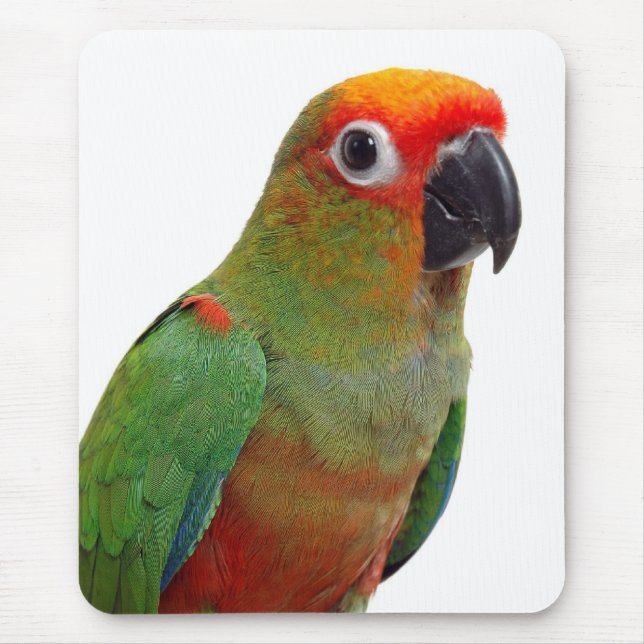 Golden-mit einer Kappe bedecktes conure Mousepad (Vorne)