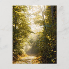 Golden Morning park, Original Fine Art Photograph Postkarte