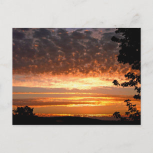 Golden Morning Postkarte