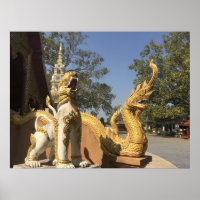 Golden Naga und White Dog ~ Chiang Mai, Thailand