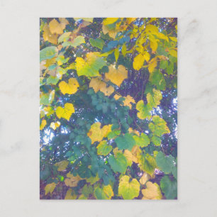 GOLDEN NAH POSTKARTE