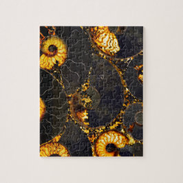 Golden Nautilus