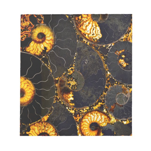 Golden Nautilus Notizblock (Vorderseite)