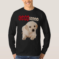 Golden Niedlich Labrador Retriever Puppy