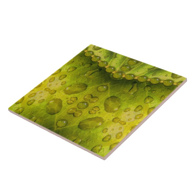Golden Olive Envelope Fliese (Seite)