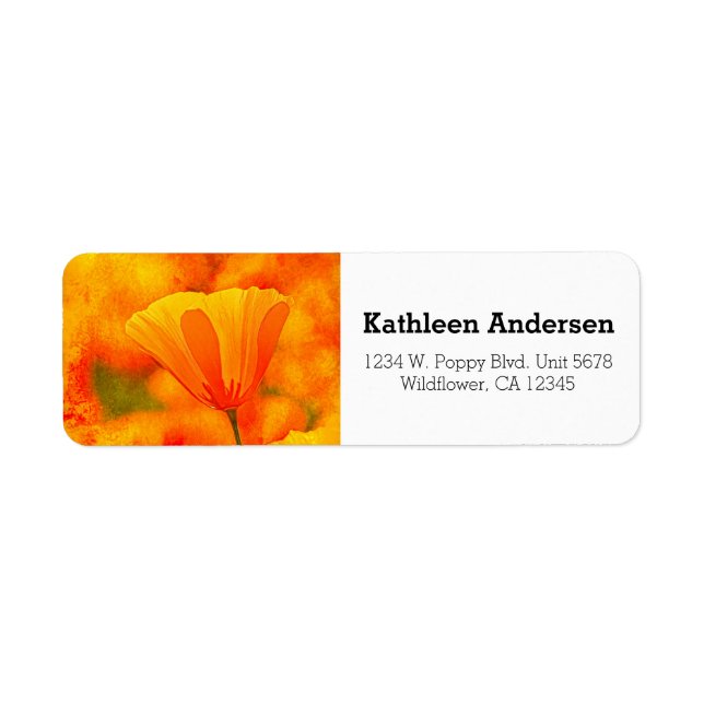 Golden Orange California Mohn "Land of Orange" (Vorne)