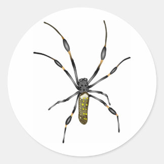 Golden Orb Spider Runder Aufkleber