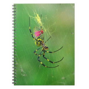 Golden Orb Weaver Spider Notebook Notizblock