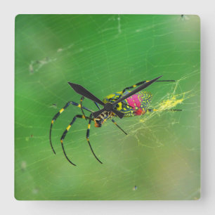 Golden Orb Weaver Spinne Wall Clock Quadratische Wanduhr