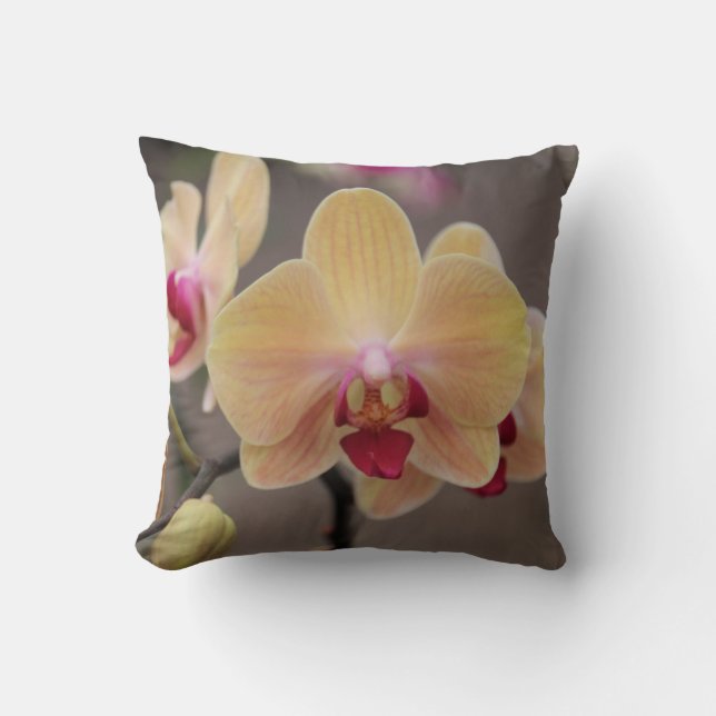 Golden Orchid Kissen (Vorderseite)