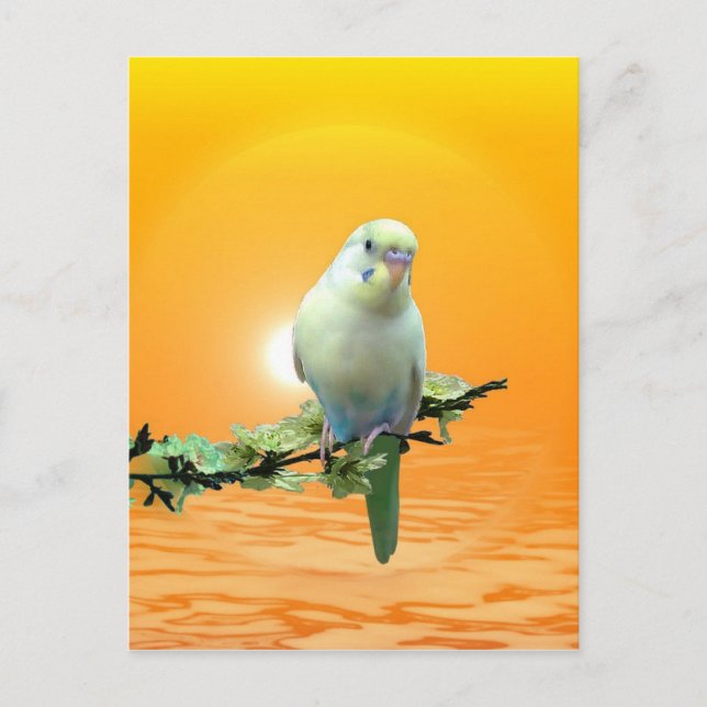 Golden Parakeet Postkarte (Vorderseite)