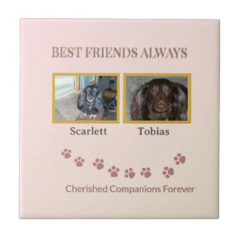 Golden Pawprints Cherished Companions Fliese